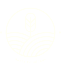 Ativo-23@2x-8.png